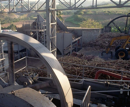 Sugar Industry Chains